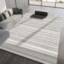 Modern simple carpet, living room, luxury sofa, tea table carpet, Nordic style, grey bedroom floor mat, new style 