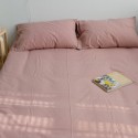 Solid color 100% cotton washable cotton bed sheet single piece cotton net red sheet single pillowcase for student dormitory 2 3-piece sets