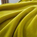 Ins solid flannel blanket wholesale 2022 autumn and winter thickened thermal coral blanket office nap blanket 