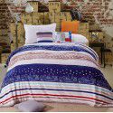 Factory Factory Winter Thickened Warm Blanket Gift Wholesale Coral Blanket Sheet Flannel Blanket 