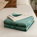 New flannel blanket Double layer cashmere blanket Farad blanket Wholesale pure polar blanket 