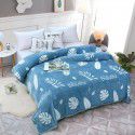 Factory Factory Winter Thickened Warm Blanket Gift Wholesale Coral Blanket Sheet Flannel Blanket 