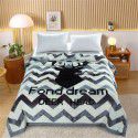 Factory blanket Raschel blanket thickened double-layer warm blanket super soft double-sided blanket gift wholesale 