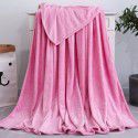 Factory price Wholesale flannel blanket coral wool bed sheet yoga cover blanket flannel gift air conditioning blanket 