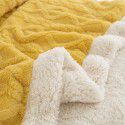 Autumn and winter thickened warm taff milk wool blanket version pure simple lamb wool blanket blanket bedding 