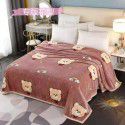 Children's nap blanket Farai velvet blanket thickened ferret velvet blanket group purchase gift wholesale 