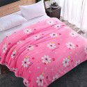 Factory Factory Winter Thickened Warm Blanket Gift Wholesale Coral Blanket Sheet Flannel Blanket 