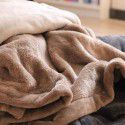 Four seasons blanket thickened plush coral blanket midnight nap air conditioning blanket large size one for distribution wholesale one for distribution 