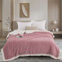 Autumn and winter thickened warm taff milk wool blanket version pure simple lamb wool blanket blanket bedding 