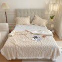 Autumn and winter thickened warm taff milk wool blanket version pure simple lamb wool blanket blanket bedding 