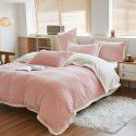 Double layer thickened milk wool blanket Cross border Amazon dual-use quilt blanket Beibei nap blanket Air conditioning blanket 