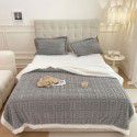 Autumn and winter thickened warm taff milk wool blanket version pure simple lamb wool blanket blanket bedding 