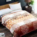 Factory Factory Winter Thickened Warm Blanket Gift Wholesale Coral Blanket Sheet Flannel Blanket 