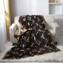 Double layer thickened warm cloud blanket European blanket AB Farai velvet ferret velvet crystal velvet air conditioning blanket wholesale 