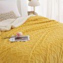 Autumn and winter thickened warm taff milk wool blanket version pure simple lamb wool blanket blanket bedding 