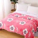 Factory Factory Winter Thickened Warm Blanket Gift Wholesale Coral Blanket Sheet Flannel Blanket 