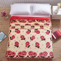 Factory Factory Winter Thickened Warm Blanket Gift Wholesale Coral Blanket Sheet Flannel Blanket 