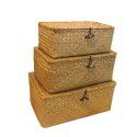 Seagrass woven handmade gift box, home display, storage basket, underwear, restaurant table top counter, storage box